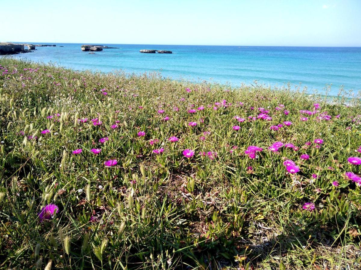 Acquarica Li Perrini Boutique B&B מראה חיצוני תמונה
